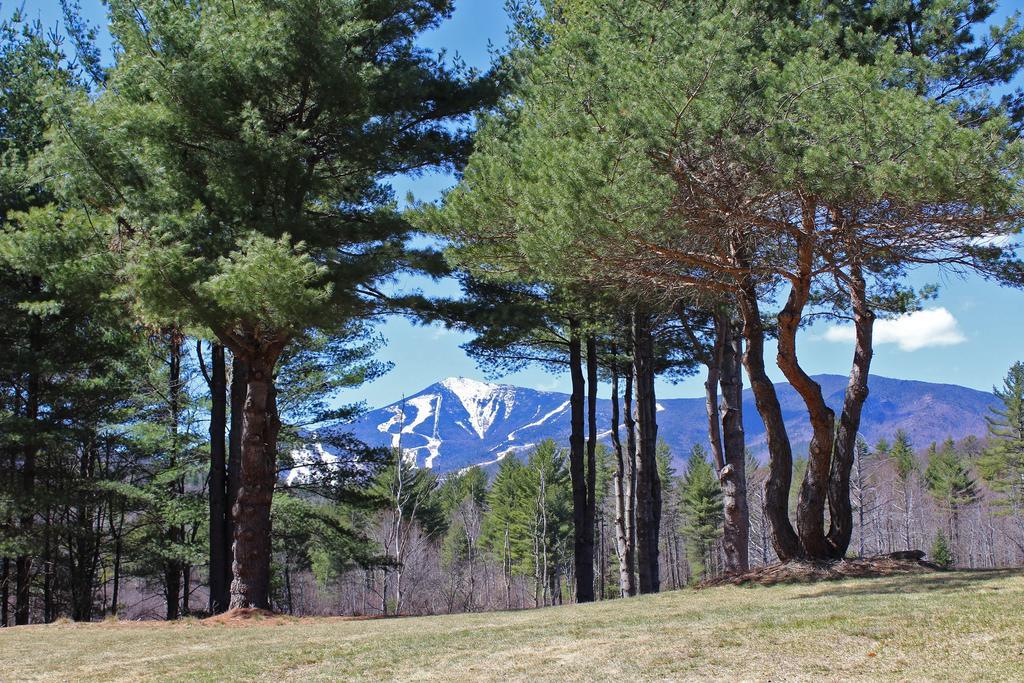 Вилла Esther Mountain Chalet Уилмингтон Экстерьер фото